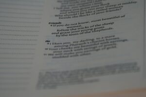close up, bokeh, macro, blur, blurred background, close focus, bible, old testament, hebrew bible, christian, judaism, history, text, reading, bible study, devotions, text, NIV, New International Version, type, typography, canon, christianity, holy scripture, holy bible, scripture, old testament, hebrew bible, song of songs, שִׁיר הַשִּׁירִים, Šīr hašŠīrīm, ᾎσμα ᾀσμάτων, Âisma āismátōn, canticle of canticles, megillot, tanakh, ketuvim, poem, love poem, love poetry, passover, christ, bride, church, marriage, lovers,